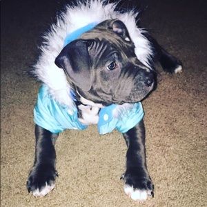 Meet your Posher, Shannon